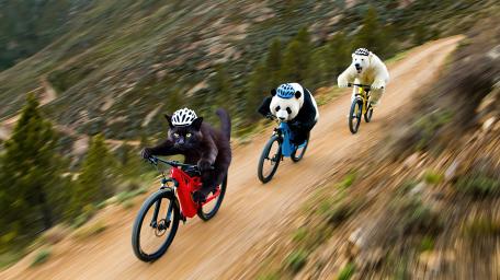 Flying Downhill wallpaper