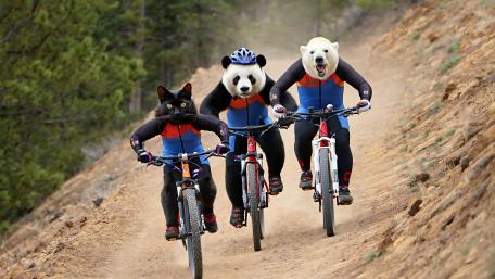 Racing To The Finish wallpaper