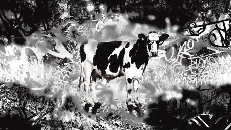 Monochrome Contrast: Urban Cow in Graffiti Wonderland wallpaper