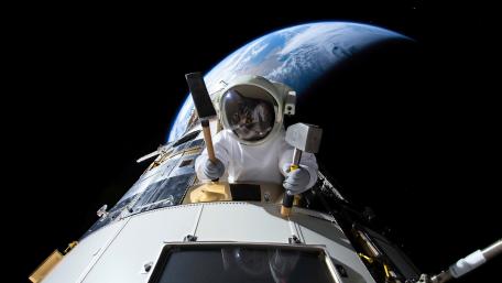 Astronaut Cat on Space Mission Adventure wallpaper
