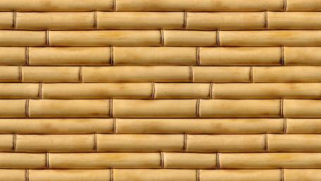 Bamboo Serenity Wall Décor wallpaper