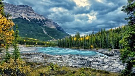 Majestic River View in Jasper's Wilderness wallpaper
