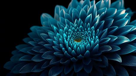Midnight Chrysanthemum — A Mesmerizing Digital Floral Wallpaper wallpaper