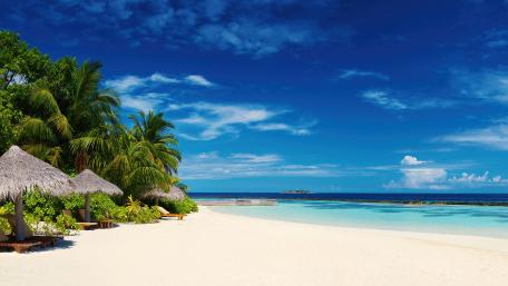Tropical Paradise in Punta Cana Beauty wallpaper