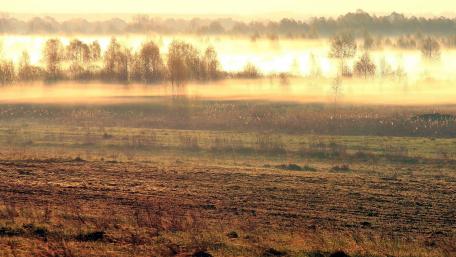 Misty Morning Glow Over Tranquil Grasslands wallpaper