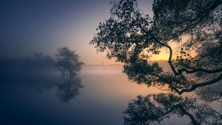 Tranquil Evening Mist over a Serene Lake wallpaper