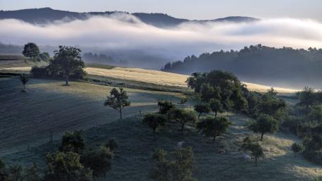 Morning Mist Over Serene Hillscape wallpaper