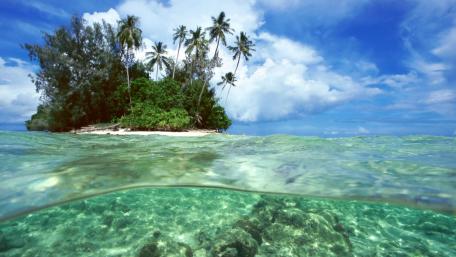 Tropical Serenity by the Crystal Waters wallpaper