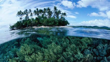Tropical Island Paradise Above and Below wallpaper