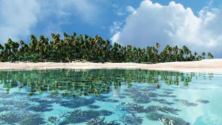 Tranquil Tropical Paradise Reflections wallpaper