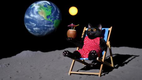 Lounging Cat in Space with Style wallpaper