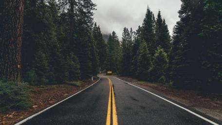Misty Forest Road Under Rainy Skies wallpaper
