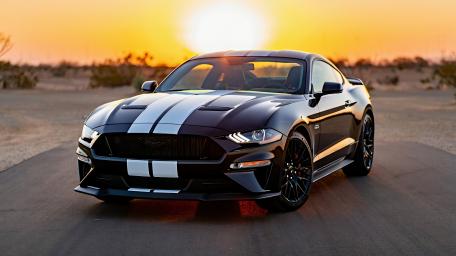 Racing Stripes wallpaper