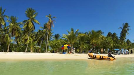 Tropical Beach Escape with Palm Trees and Clear Waters wallpaper