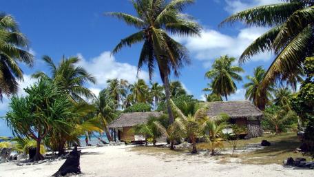 Tropical Beach Haven with Palm Trees and Huts wallpaper