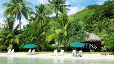 Tropical Paradise Retreat: Relax by the Coast wallpaper
