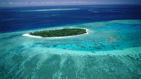 Great Barrier Reef's Pristine Paradise wallpaper