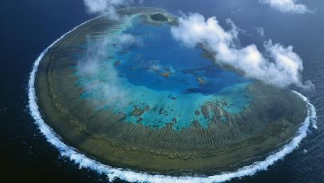 Lady Musgrave Island: Coral Wonderland wallpaper