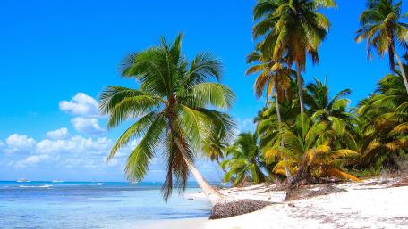 Tropical Paradise Bliss in the Dominican Republic wallpaper