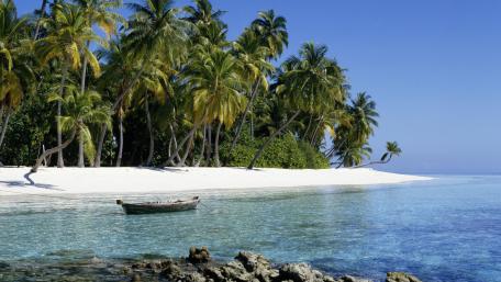 Tropical Paradise Serenity in the Maldives wallpaper