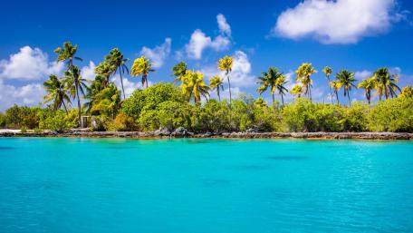 Tropical Paradise by the Turquoise Sea wallpaper