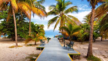 Tropical Paradise Escape on a Sunny Beach Boardwalk wallpaper
