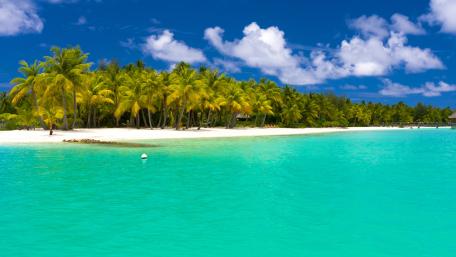 Tropical Paradise Escape in Vibrant 4K wallpaper