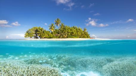 Tropical Paradise Serenity in the Maldives wallpaper