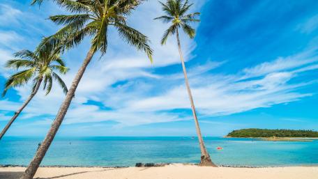 Tropical Paradise with Serene Beach Bliss wallpaper