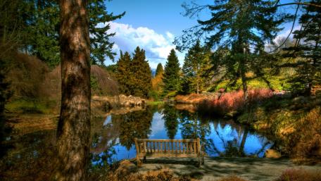 Tranquil Pondside Reflection with Bench View wallpaper