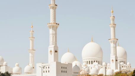 Sheikh Zayed Grand Mosque Splendor wallpaper