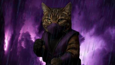 Purple Ninja Cat Adventure wallpaper
