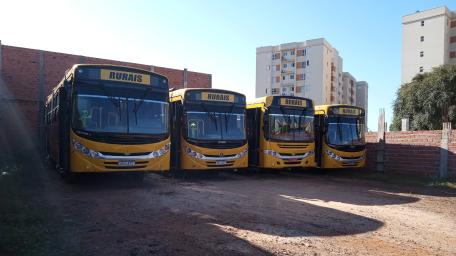 Yellow Buses Parked in Urban Setting wallpaper
