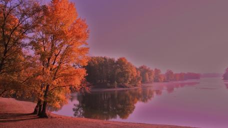 Autumn Serenity by the Riverside wallpaper