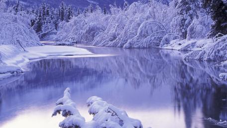 Winter's Tranquil River Reflection wallpaper