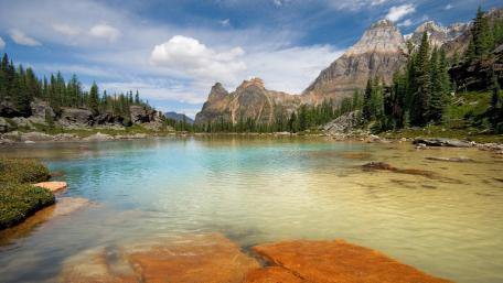 Scenic Serenity at Lake O'Hara in Canada wallpaper