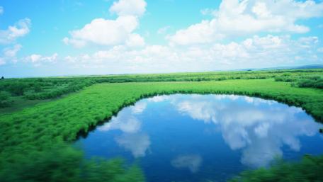 Tranquil Reflections in a Verdant Lacustrine Plain wallpaper