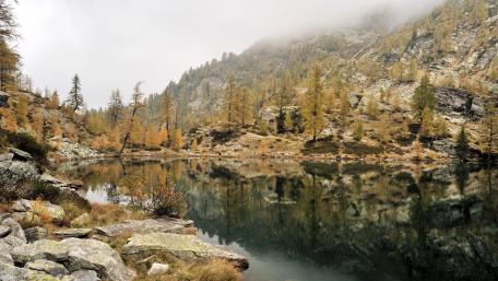 Tranquil Reflections: Mountain and Lake Harmony wallpaper