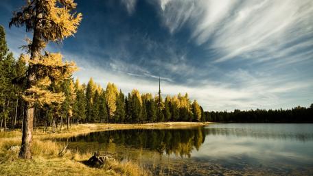 Serene Wilderness Reflections wallpaper
