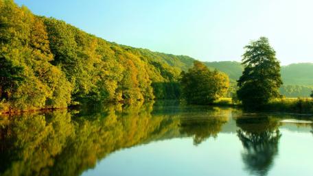 Serene Forest River Reflection wallpaper