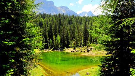Serene Reflection in a Forested Valley wallpaper