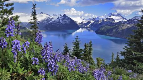 Serene Beauty of Garibaldi Provincial Park wallpaper