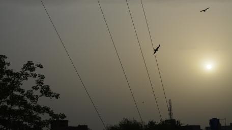 Morning Serenity Over Multan's Skies wallpaper