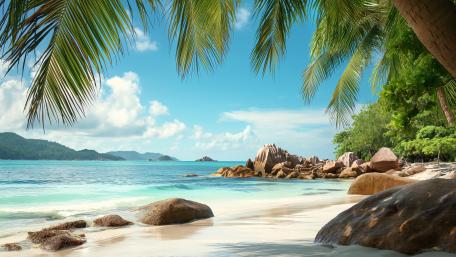 Tropical Bliss under Seychelles Palms wallpaper
