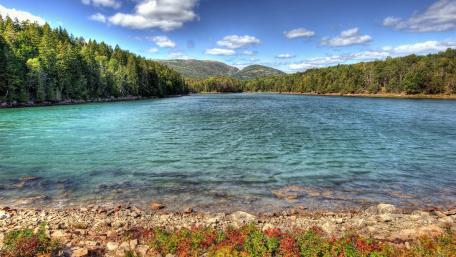 Tranquil Lake with Verdant Forest View wallpaper