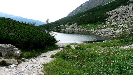 Czarny Staw's Serene Mountain Beauty wallpaper