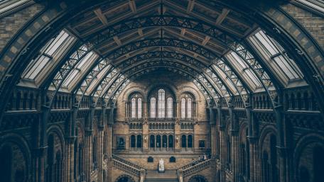 Majestic Symmetry of Natural History Museum Ceiling wallpaper