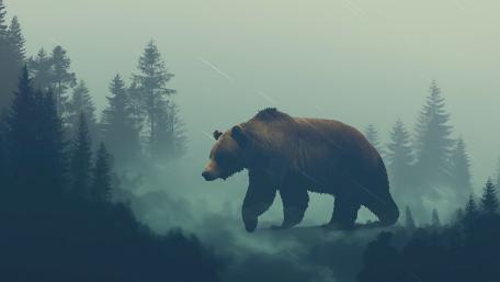 Grizzly in the Misty Forest wallpaper