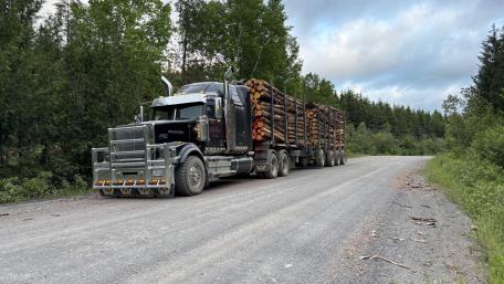 Western Star Logging Truck in 4K wallpaper