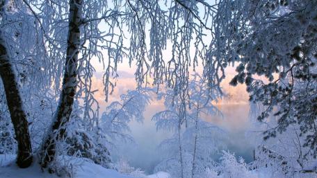 Winter Serenity by the Frozen Lake wallpaper